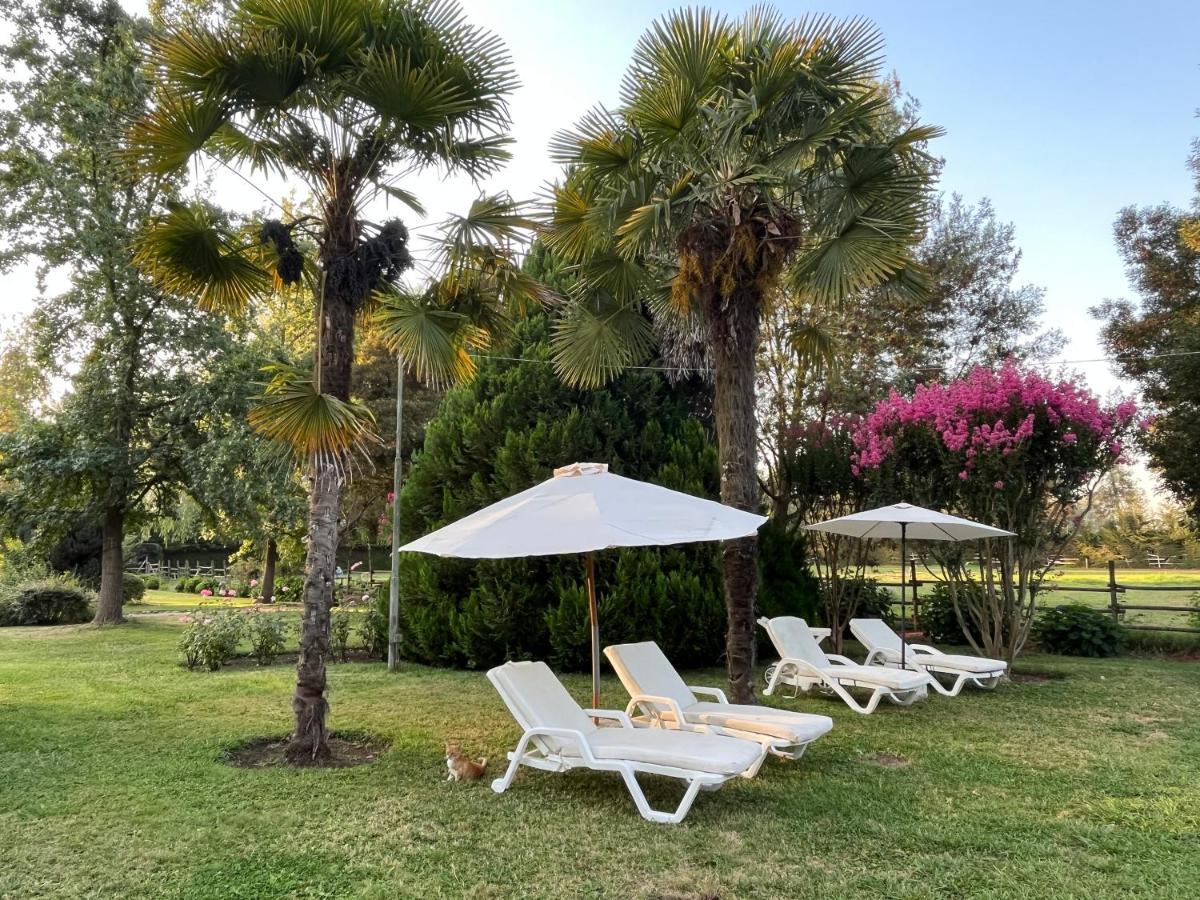 Bed & Breakfast ,Casa De Campo San Esteban,Linares Miraflores Eksteriør bilde